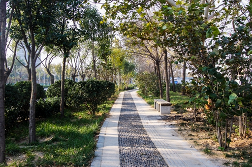 濟(jì)南市濟(jì)齊路道路改造工程(二環(huán)西路~黃崗路)